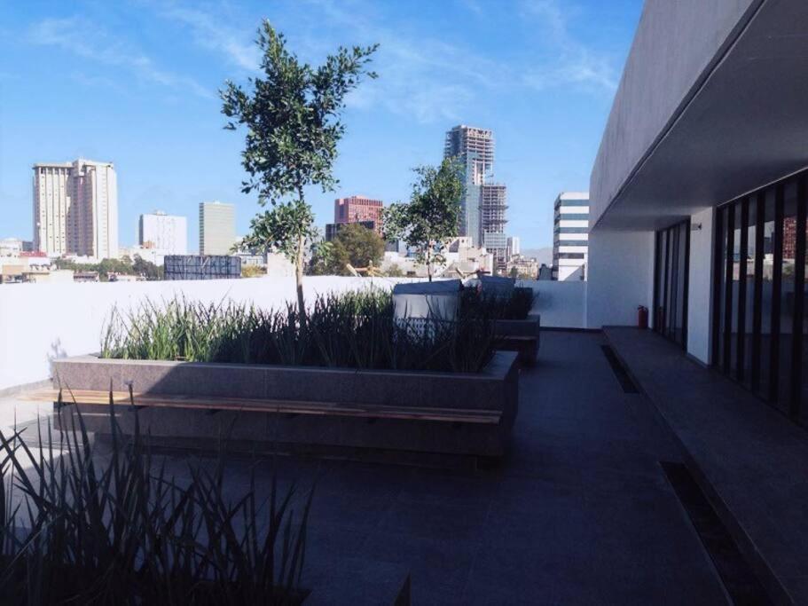 Secure, Central And Quiet Apartment Work Or Travel Mexico City Luaran gambar